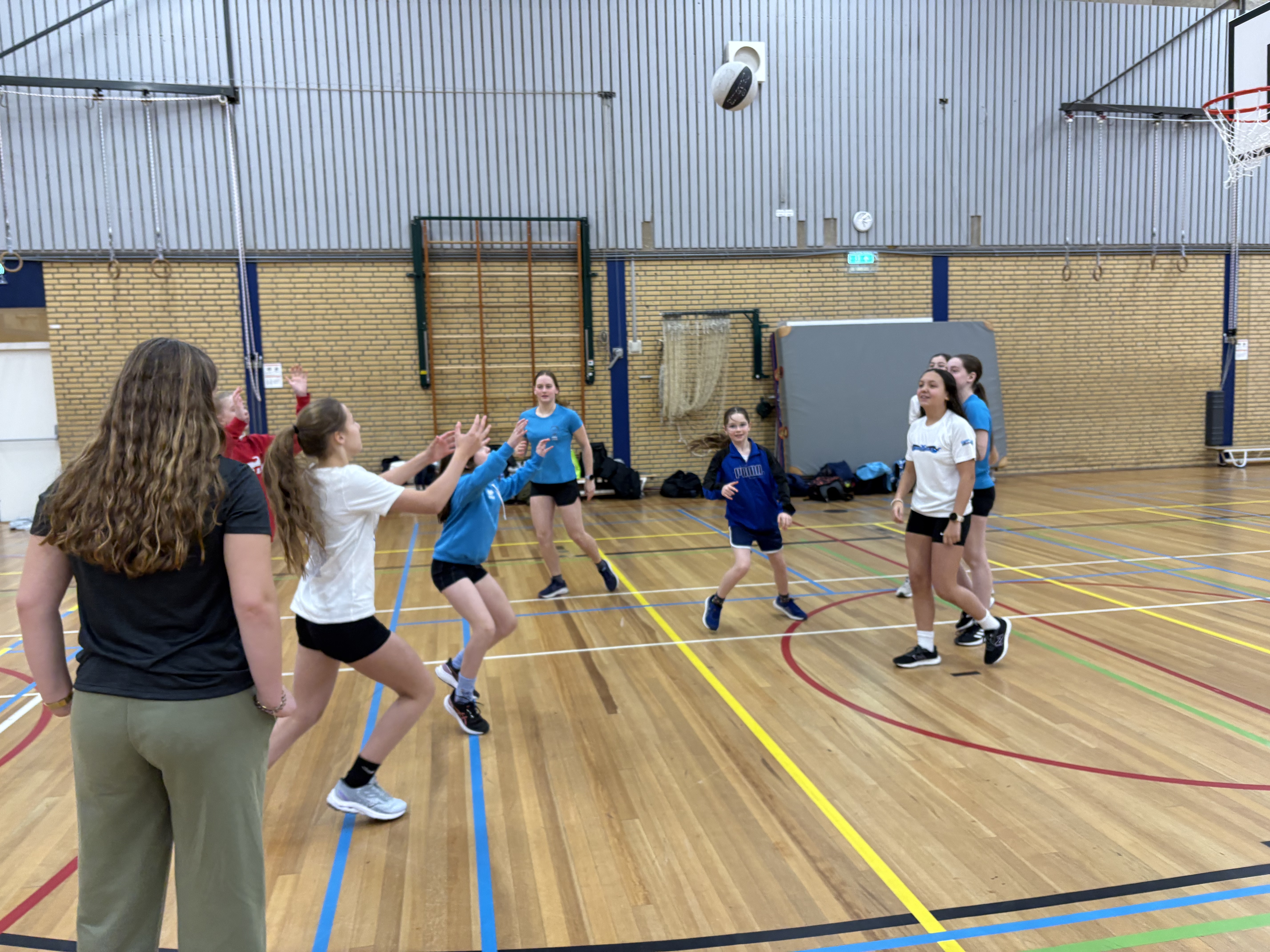 Stage Maaseik